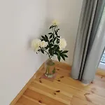 In Anni's Appartement *