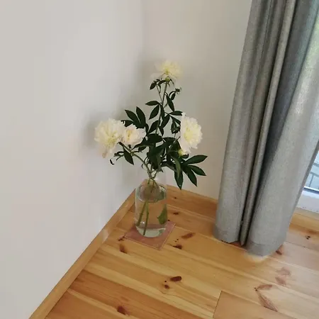 In Anni's Apartamento *