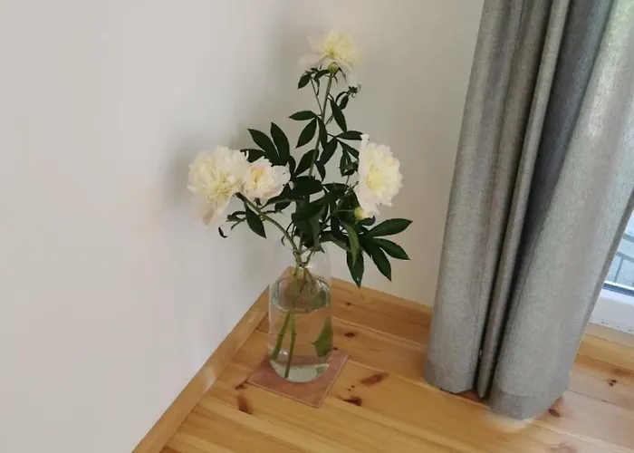 In Anni's Apartament *